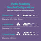  Vertix Academy Needle Cartridges — Box of 20