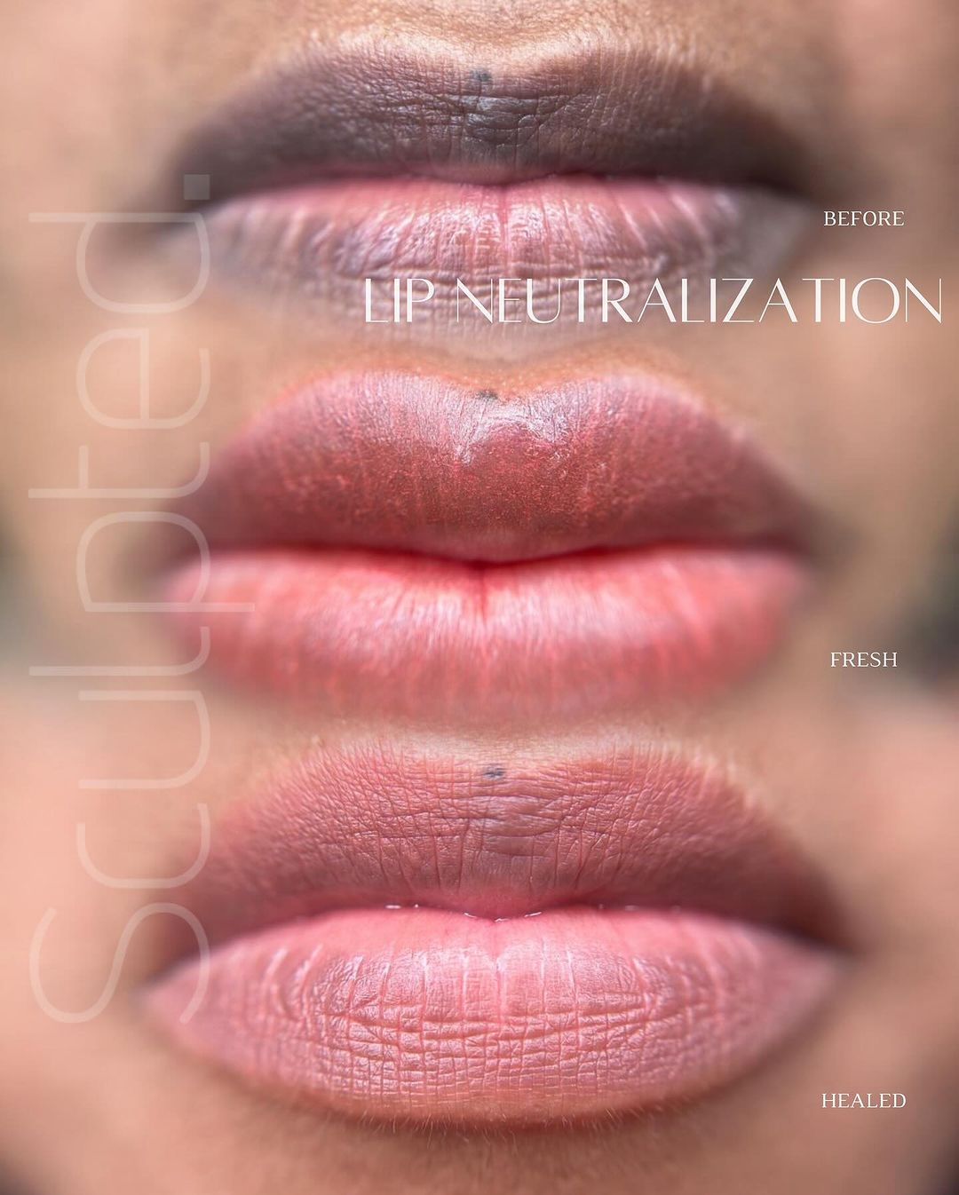 Mod 2 - Carla Ricciardone Embody - Perma BlendMod 2 - Carla Ricciardone Embody