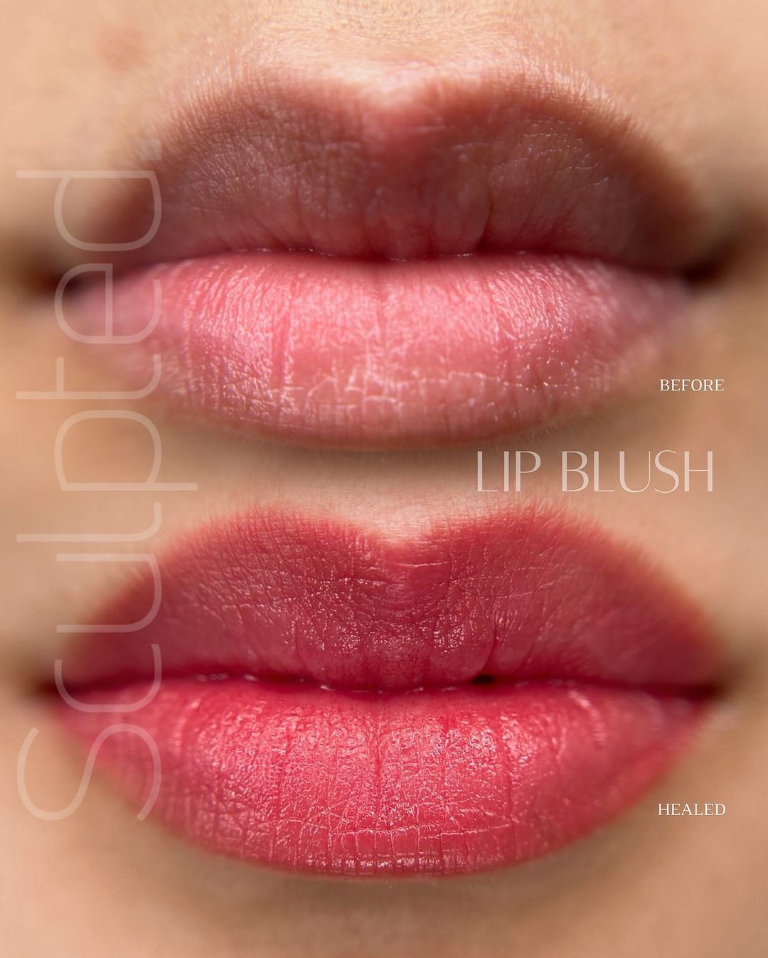 Base 4 - Carla Ricciardone Embody - Perma BlendBase 4 - Carla Ricciardone Embody