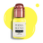 Mod 1 - Carla Ricciardone Embody - Perma Blend Mod 1 - Carla Ricciardone Embody