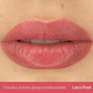  Lip Set Evenflo Colours