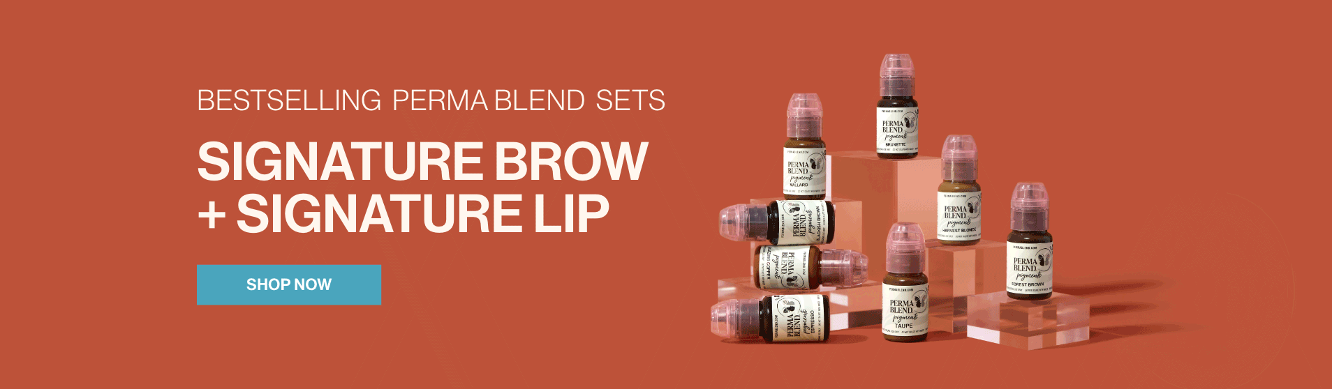 Signature Lip and Brow Sets FeaturePigment Perfection