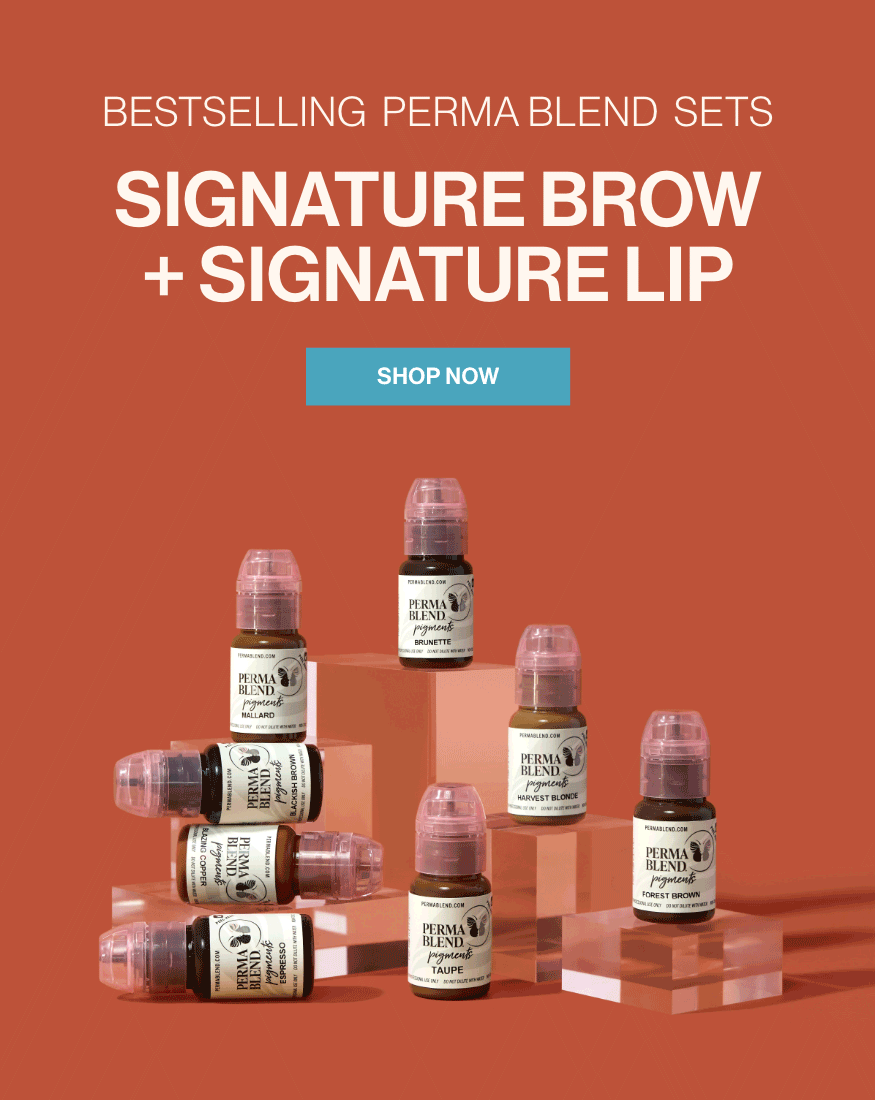 Signature Lip and Brow Sets FeaturePigment Perfection