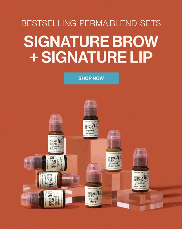 Signature Lip and Brow Sets Feature