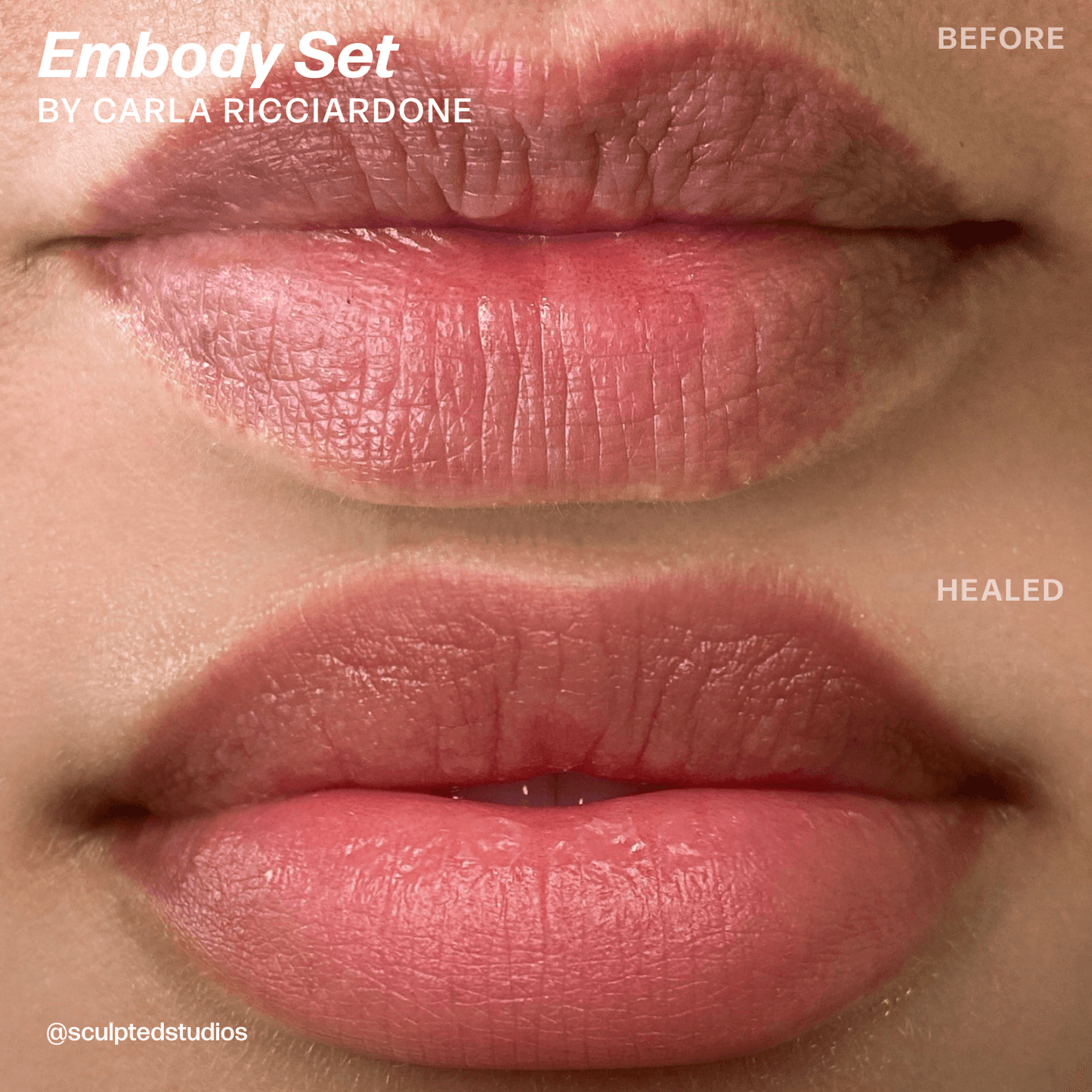 LUXE Embody Set by Sculpted – Carla Ricciardone - Microbeau International LUXE Embody Set by Sculpted – Carla Ricciardone