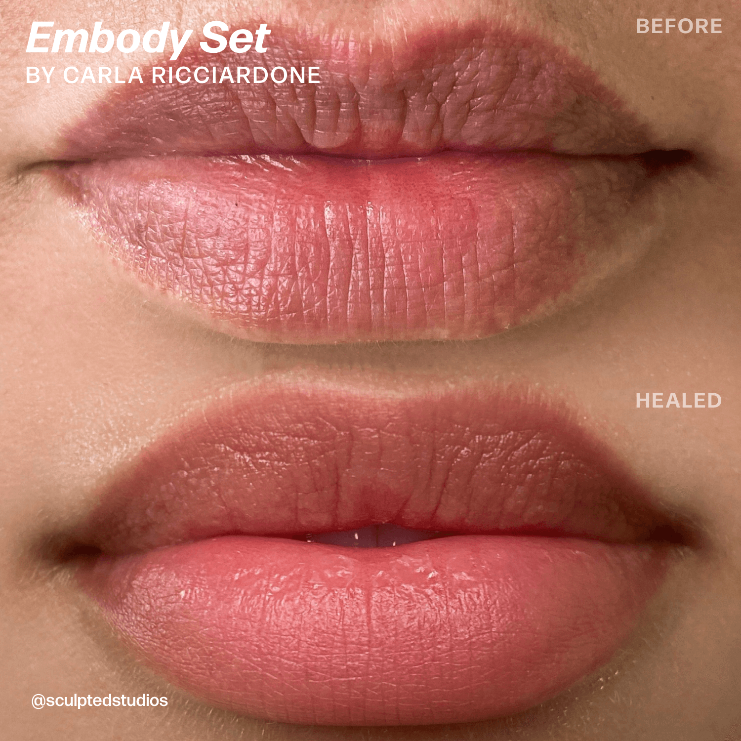 LUXE Embody Set by Sculpted – Carla Ricciardone - Microbeau InternationalLUXE Embody Set by Sculpted – Carla Ricciardone