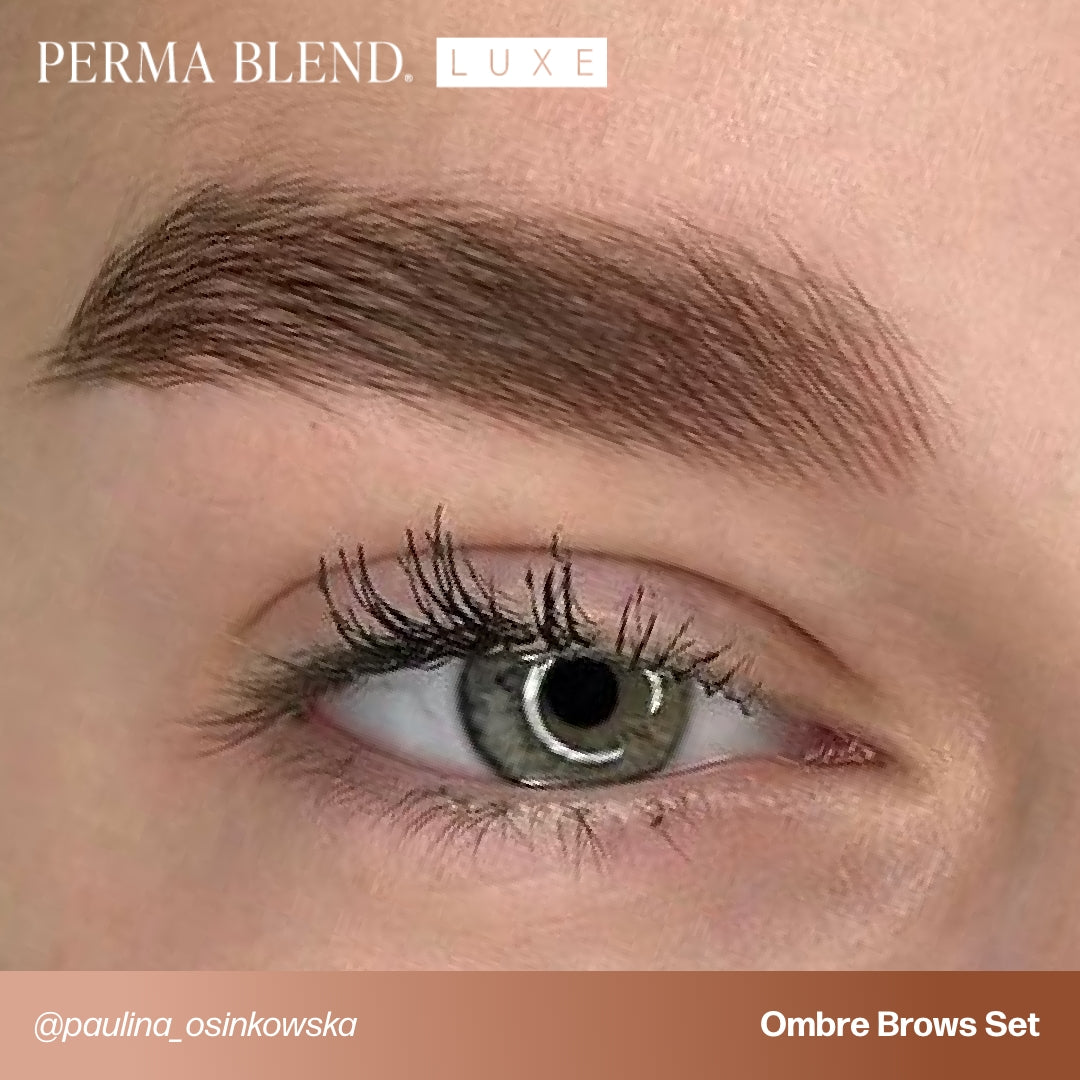  Perma Blend LUXE x Osinkowska Ombre Brows Collection