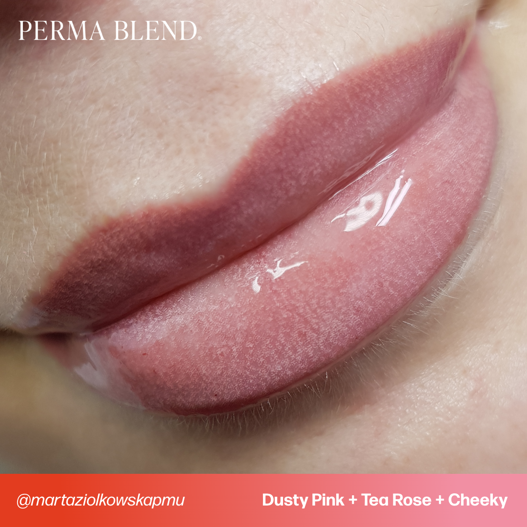 Dusty Pink - Tina Davies Envy Lip - Perma Blend Dusty Pink - Tina Davies Envy Lip