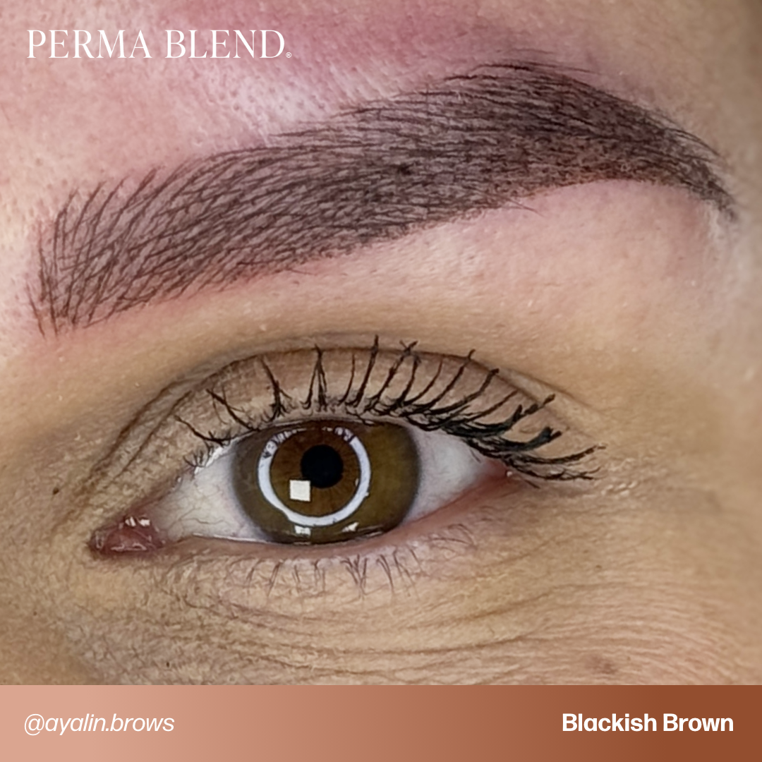 Blackish Brown — Perma Blend — Pick Size - Microbeau InternationalBlackish Brown — Perma Blend — Pick Size